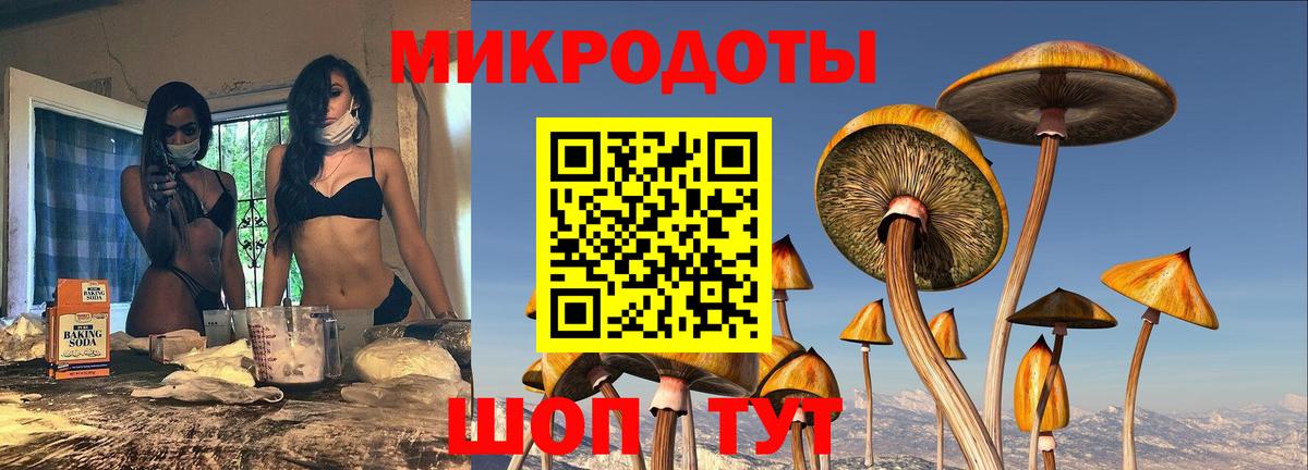 Псилоцибиновые грибы прущие грибы Сызрань